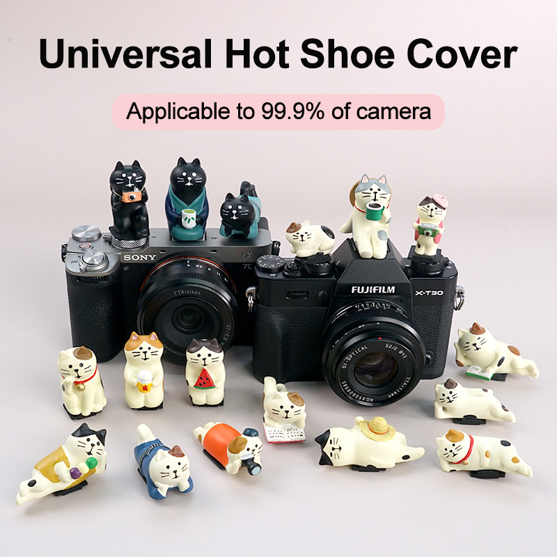 Cubierta de Zapata Fría Univer - Canon Camera Eos R50 reseña y precio